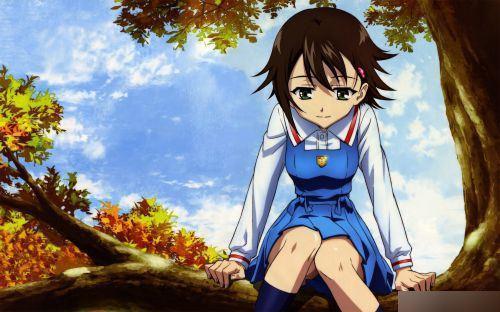 这六部动漫b站评分都非常高,每一部都值得反复观看!