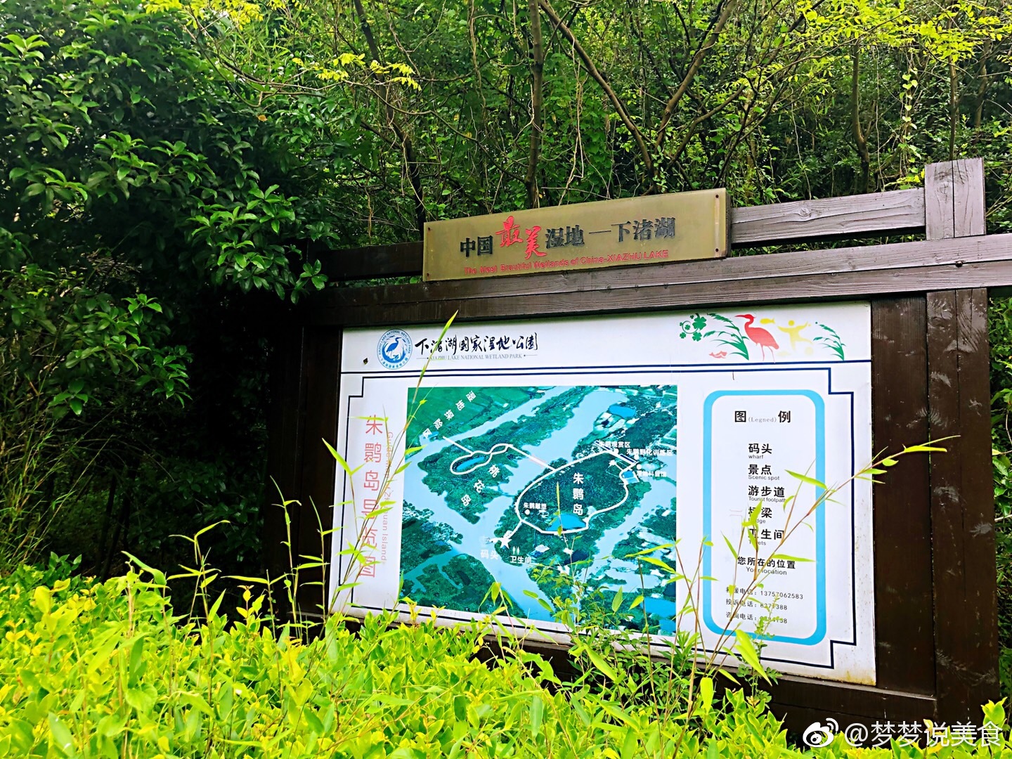 下渚湖湿地公园
