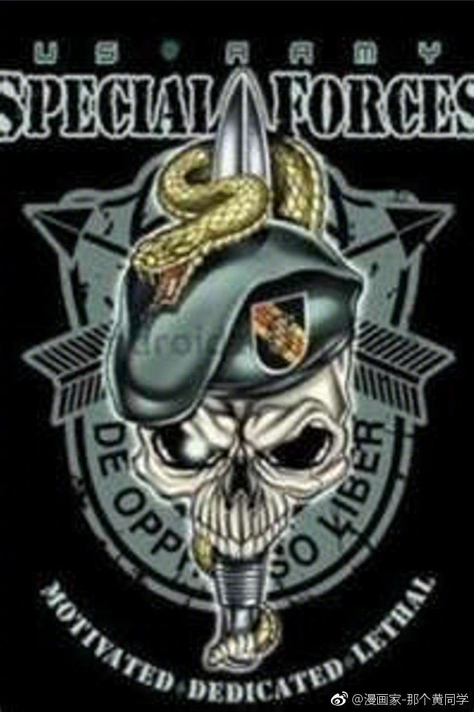 特种部队精美臂章赏析