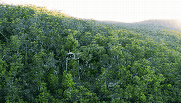 591_337gif 动态图 动图