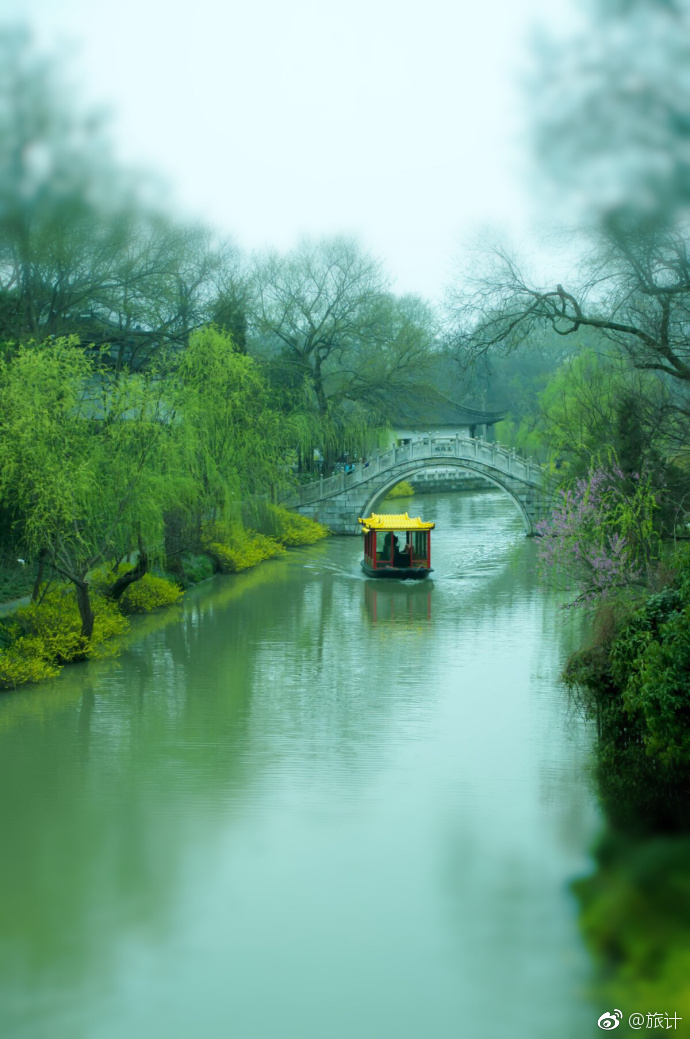贴心导游 告诉你!草长莺飞二月天,拂堤杨柳醉春烟