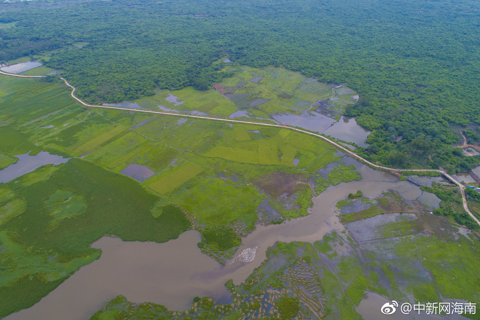 高空航拍海口潭丰洋湿地公园