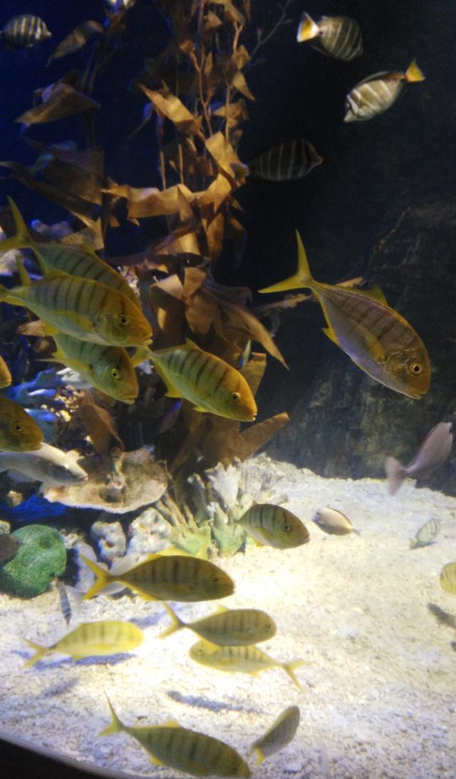 3点从乐多港出来,直奔西三环,路上有些堵车,四点多到达中央电视塔,用