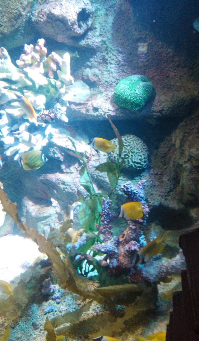 3点从乐多港出来,直奔西三环,路上有些堵车,四点多到达中央电视塔,用