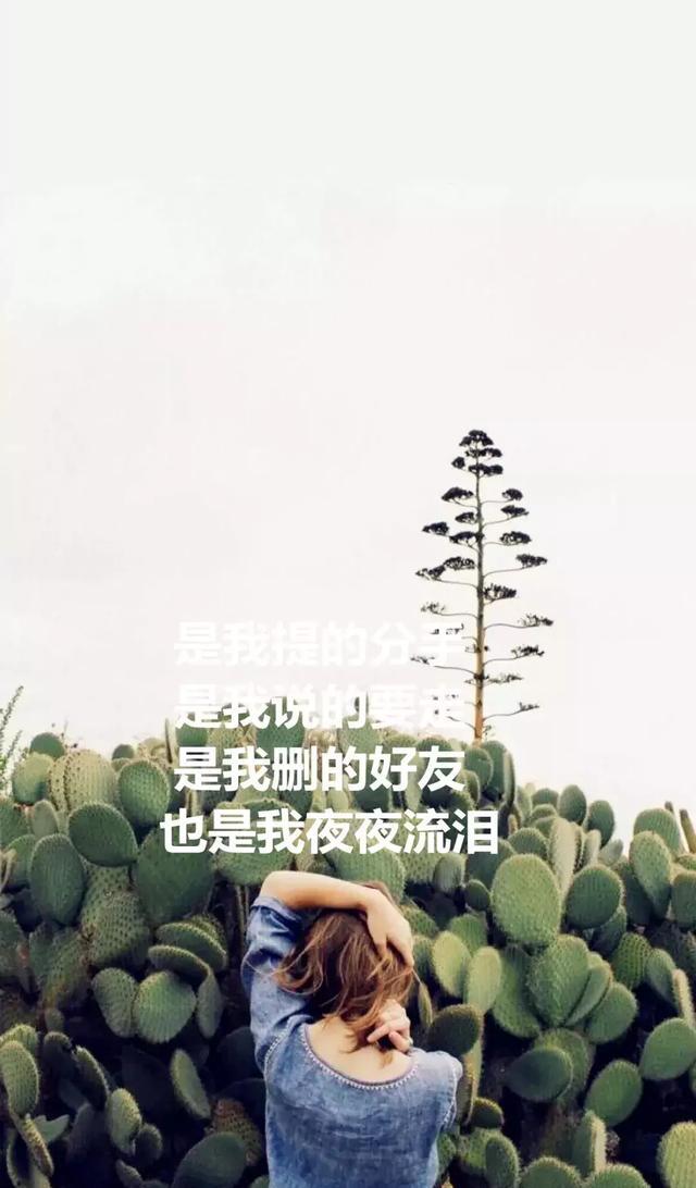 壁纸控生命太短没时间留给遗憾