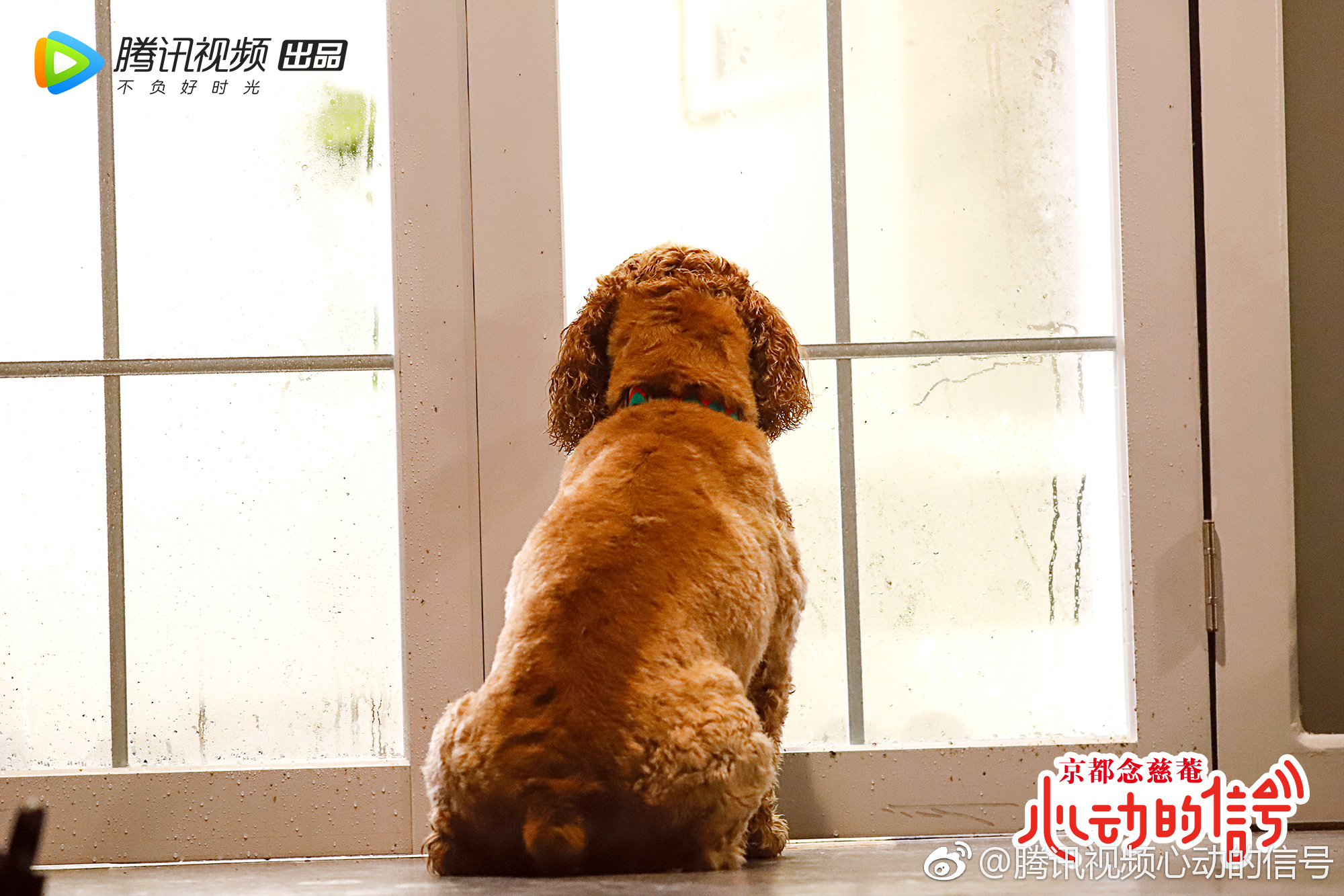 单身狗吖蜜留给你们一个可爱又孤独的背影中秋假期