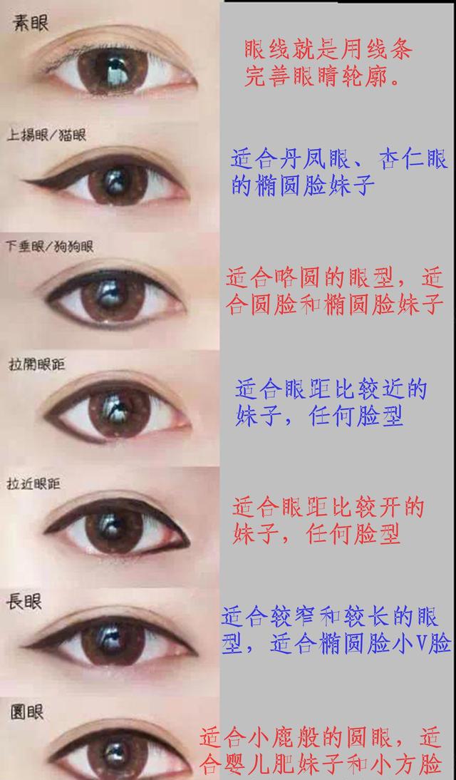 眼睛形状分类 图解图片