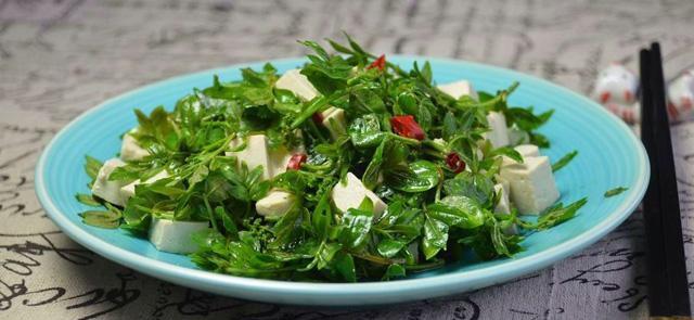 就是这个嫩芽,春天暖和一点的时候就开始冒头,这个时候也是花椒叶最肥