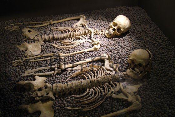 考古队在一深山发现墓穴群,葬奇异骷髅,一教授研究后说了7个字