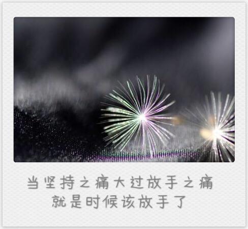 关于我们.|放手|大过|树叶_新浪新闻