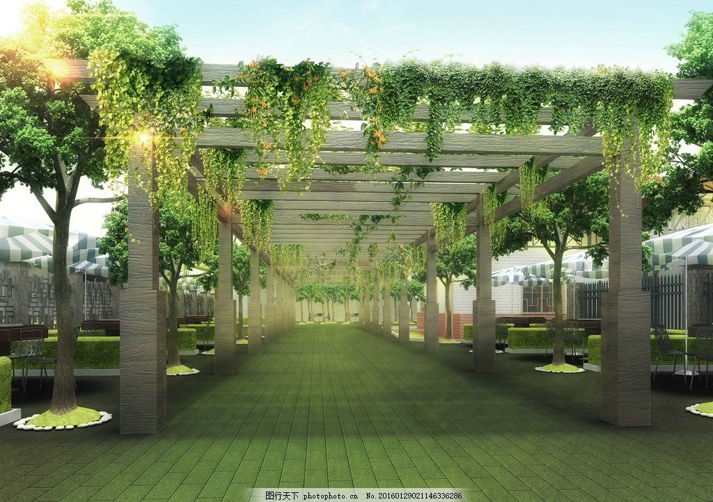 垂直绿化≠绿色建筑,却是能呼吸的房子__财经头条