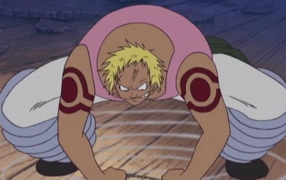 10.超人系 弹簧果实贝拉米9.超人系 槛槛果实 媞娜8.