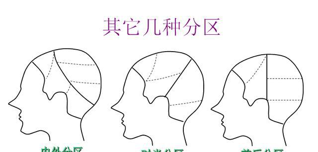 发型技术结构解码(一)——头部分区