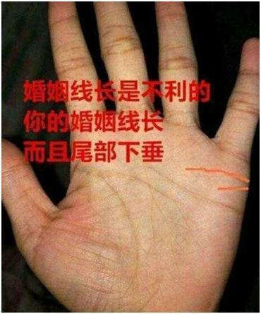 婚姻线长而且尾部下垂冲向了感情线,并和感情线连接在了一起,这说明此