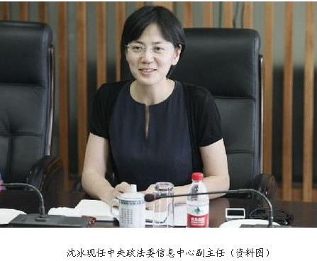 前央视一姐,曾是副厅级,背叛地产富豪老公,与大老虎纠缠不清|沈冰