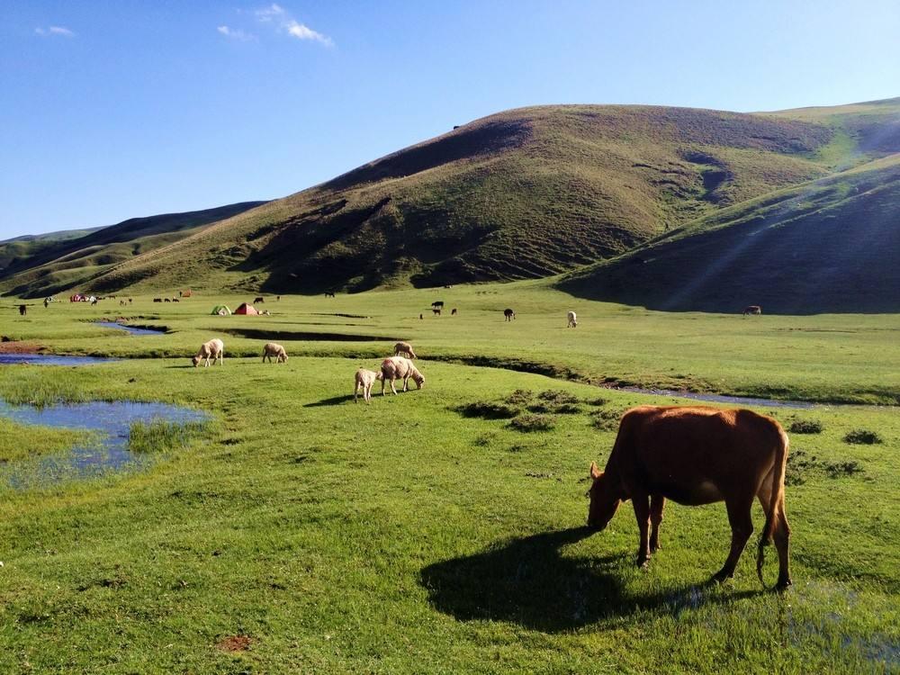 有的名气太大,盖住了这个风景绝佳的小县城|云南|会泽|名气_新浪新闻
