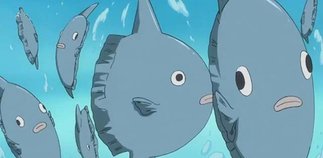 纵观翻车鱼悲惨的一生, 中国人只想问到底能不能吃?