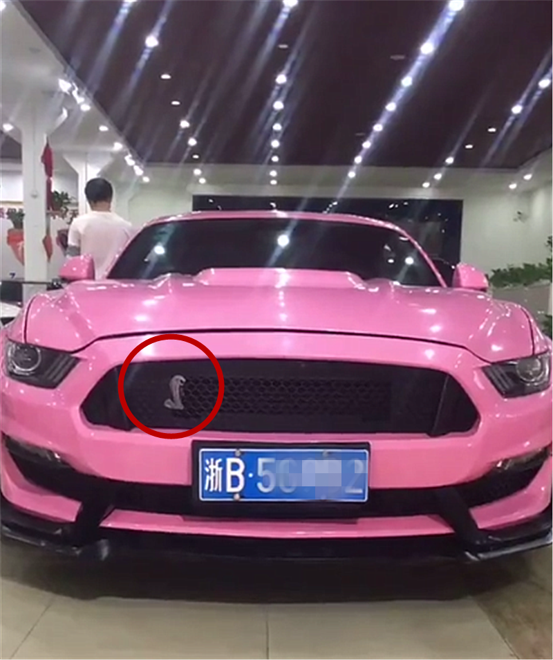 36万野马现宁波车漆粉色很骚气车标还被车主改成眼镜蛇