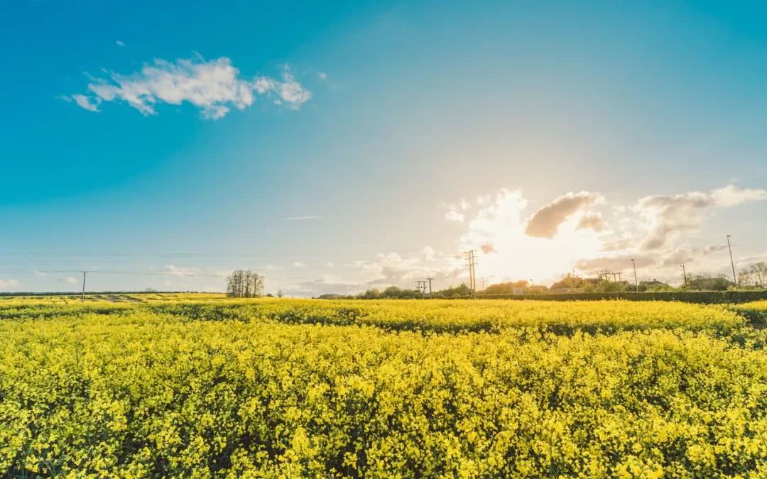 正能量心灵鸡汤哲理人生感悟语录
