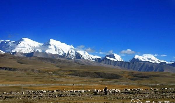 被视为"生命禁区"的无人区, 除了荒无人烟还有什么?