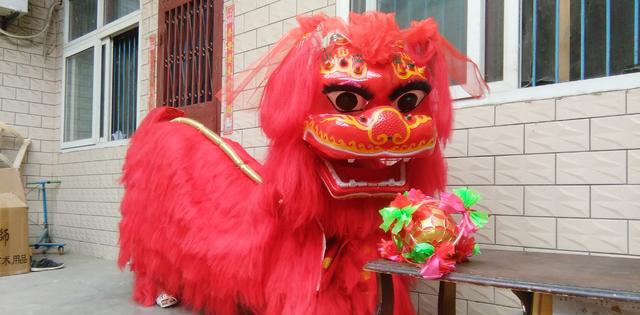 舞狮耍杂技是过年那味儿，可是南狮和北狮你知道吗？发财中国年