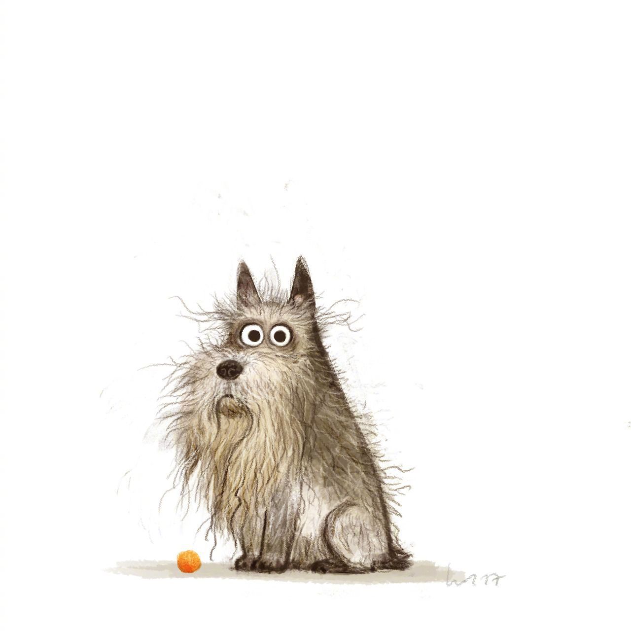 来自插画师wiebke rauers笔下的一组小动物