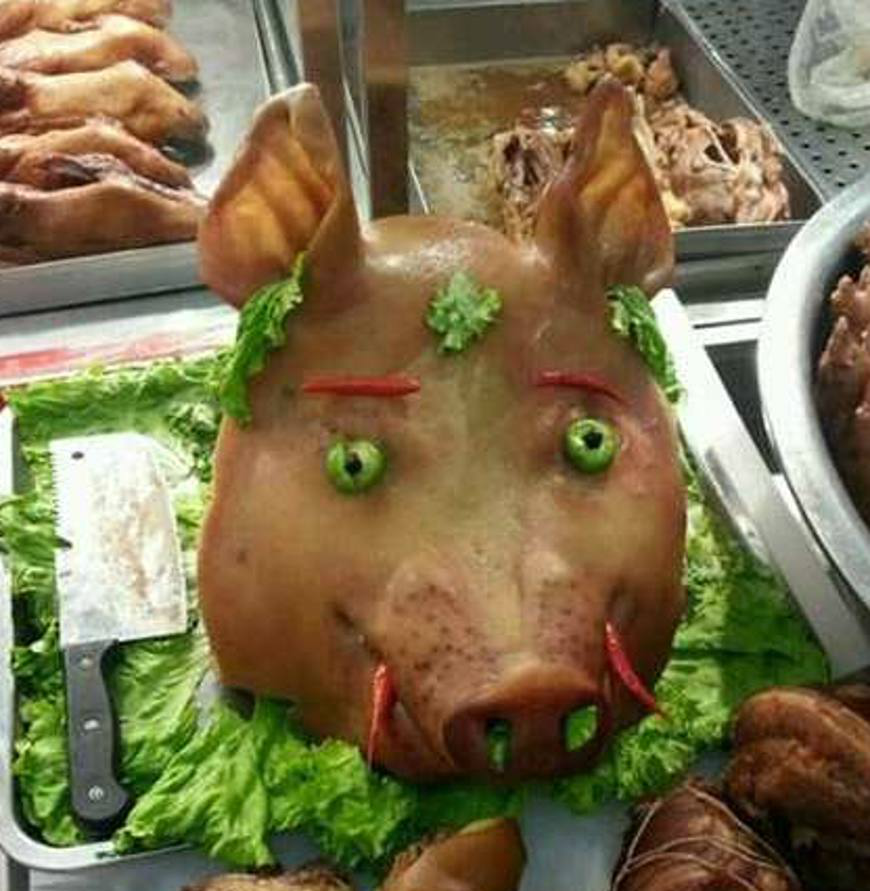 吊炸天的动物趣图一秒戳中你的笑点忍不住看三遍