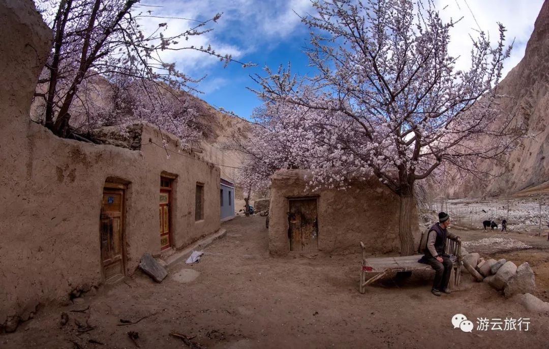 当年唐玄奘去印度取经,途经的瓦罕走廊,正是如今的帕米尔杏花村.