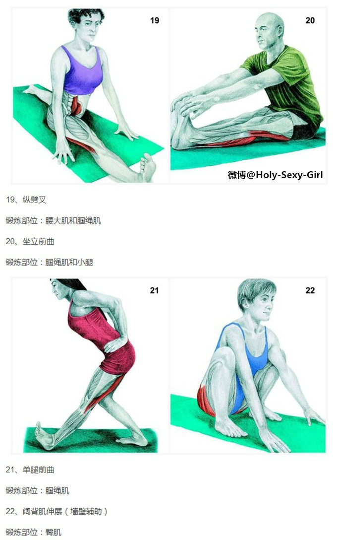 34个超全的拉筋图!哪里僵硬拉哪里_新浪看点