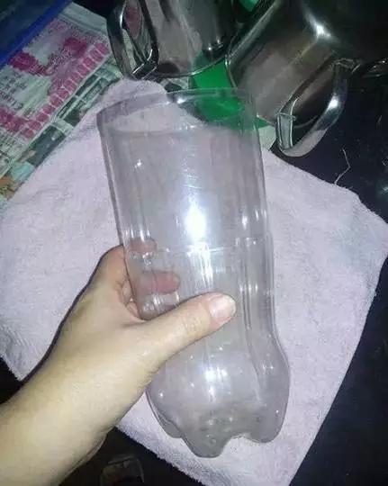 用可乐瓶自制豆芽机!安全环保无污染!