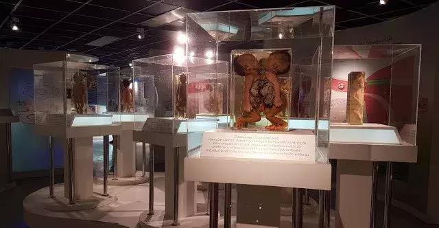 有价值,有浪漫,更有惊吓……|泰国|博物馆|曼谷_新浪新闻