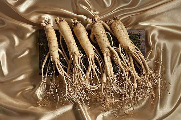 我们都说"人活一口气",这个气是什么呢?|人参|人参皂苷|形神_新浪新闻