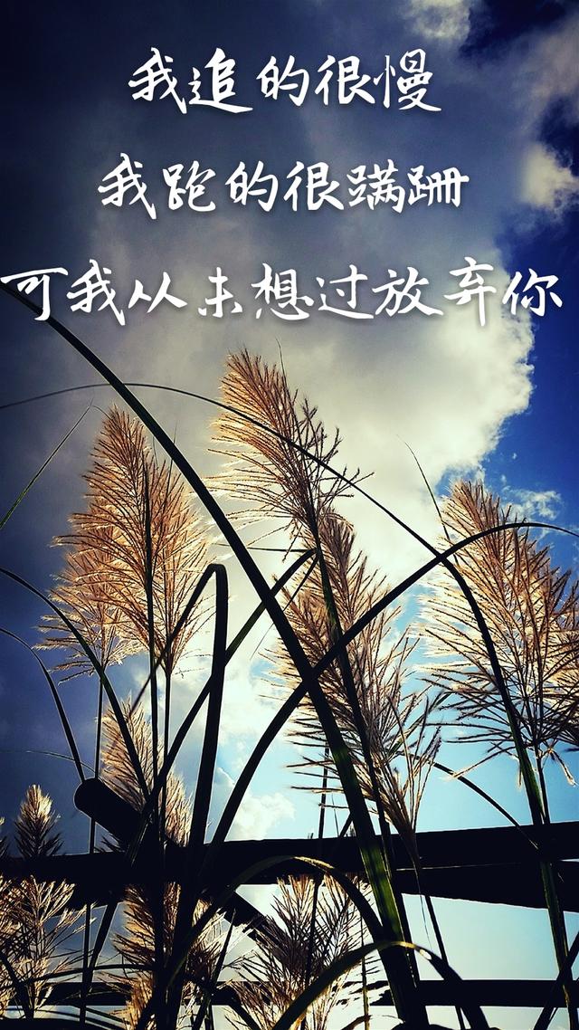 如果有一天我真的不再去在乎你和别人怎样,那我们就结束了