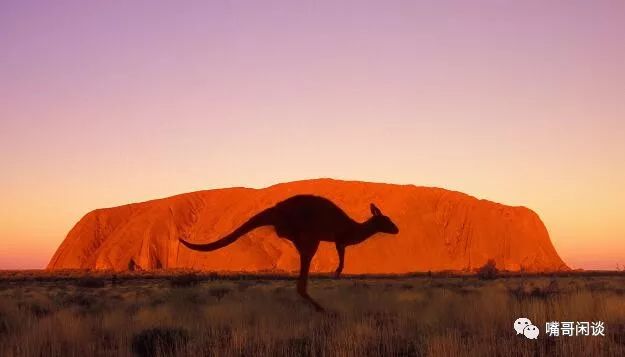 澳大利亚国土面积那么大,为何却成不了世界强