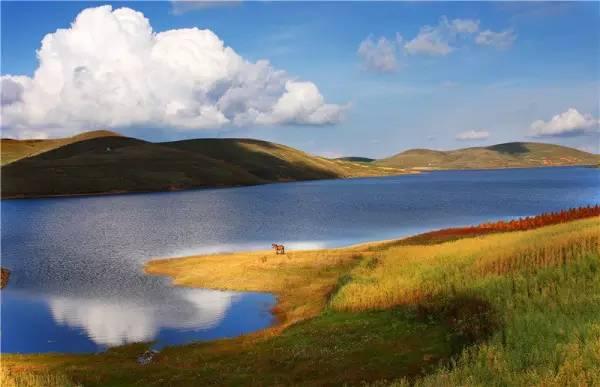 四季皆美丽的生态区——大山包