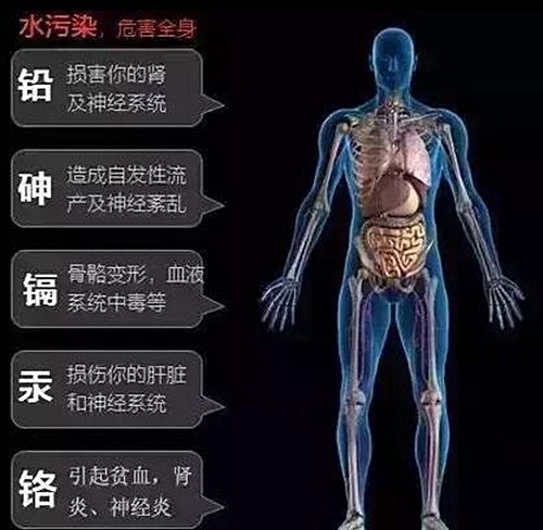 水污染对人体健康的影响与危害!__财经头条
