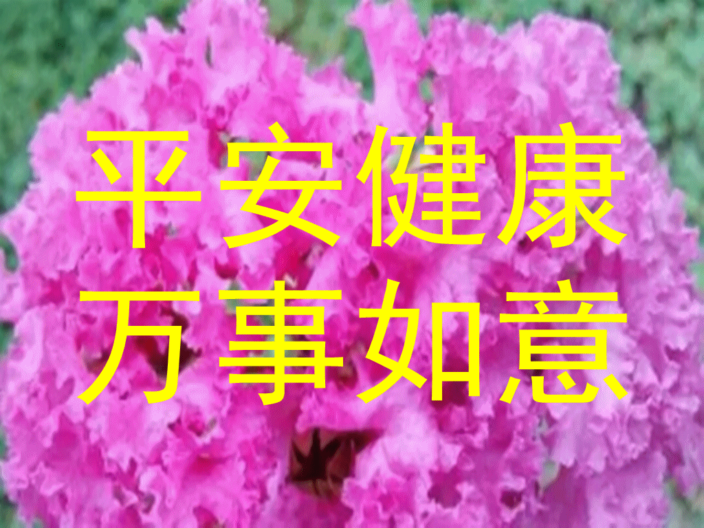 1024_768gif 动态图 动图