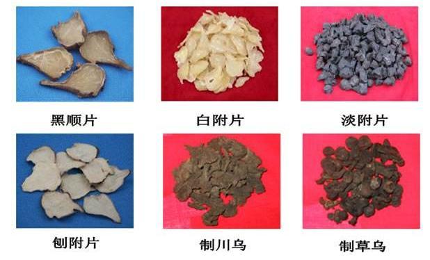 你真的了解附子吗