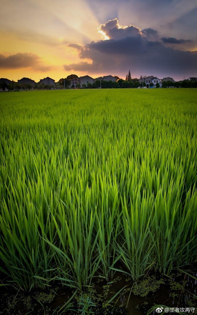 从空中看常熟的农田,工作之余
