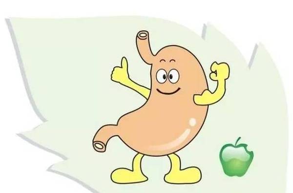 这些天然"养胃王",养胃健脾助消化