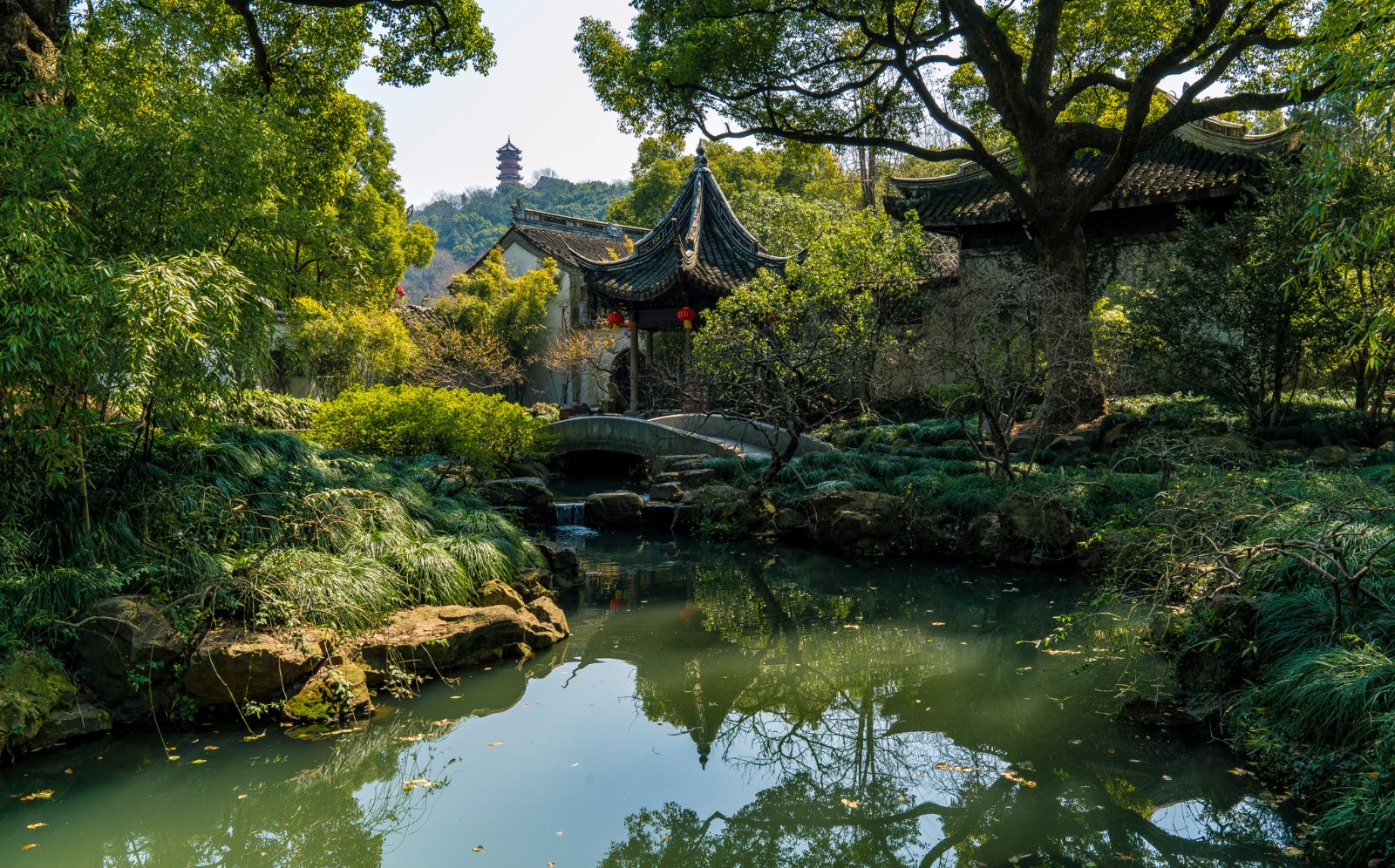 无锡惠山古镇寄畅园,满满的春色