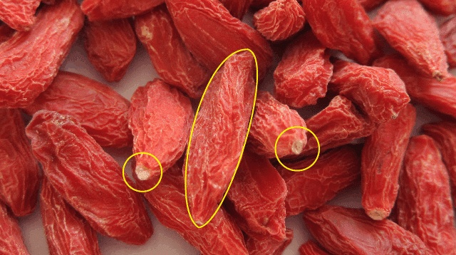 真假枸杞分不清?老农教你一句话,让你一眼看穿假枸杞,不再买错