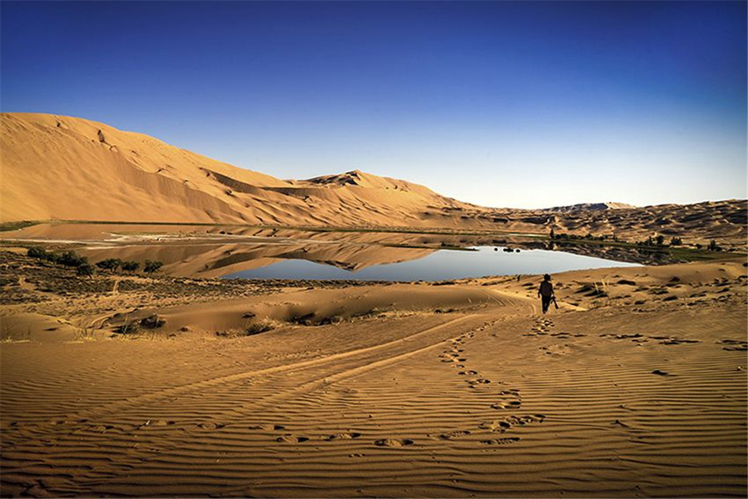 如果塔克拉玛干沙漠变成森林,会有什么影响?说出来你可能不相信