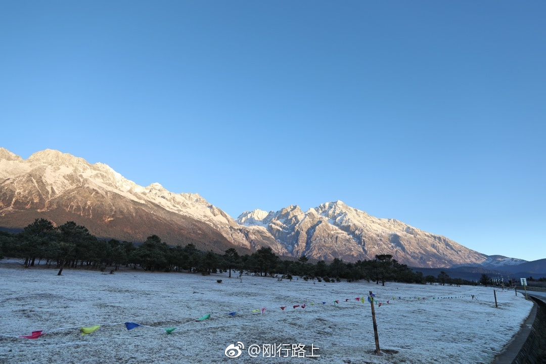 雪山灰虎网,雪山灰虎网考研 雪山灰虎网,雪山灰虎网考研