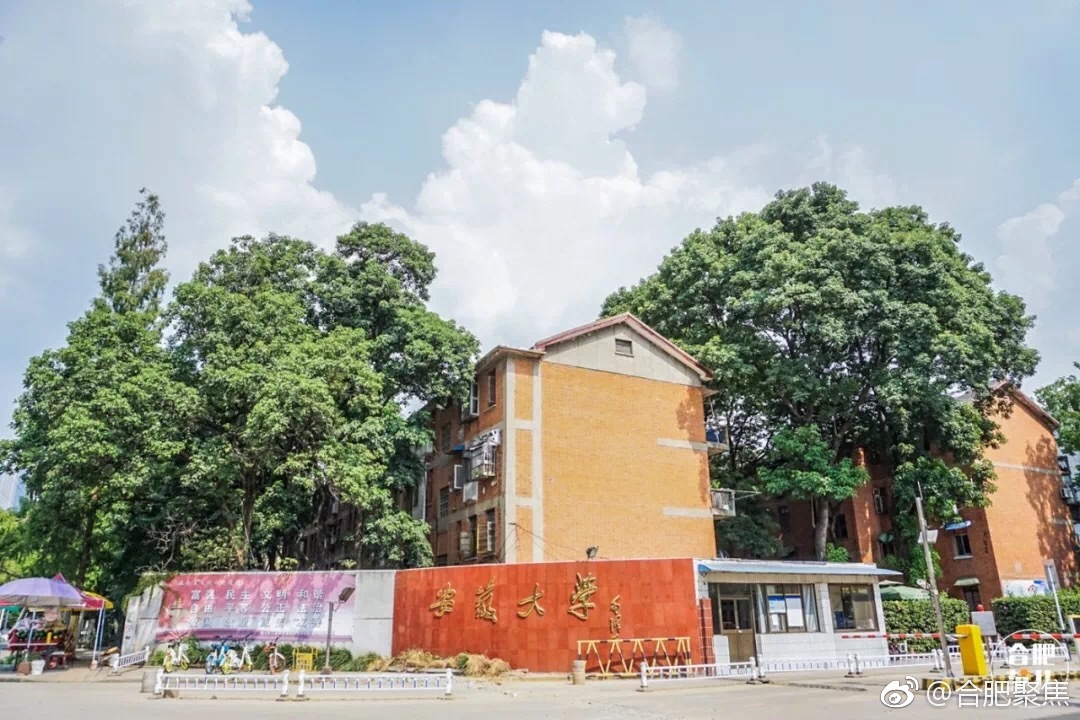 安大龙河校区旧城改建目前尚处于入户评估阶段