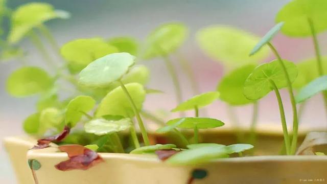 2018扎心语录,抖音伤感语录痛到心里!