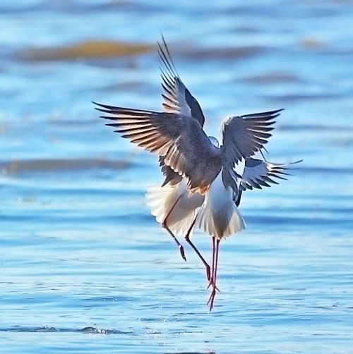 是啊,命运无常,我们永远不知道下一刻等待着我们的是什么,是晴空万里