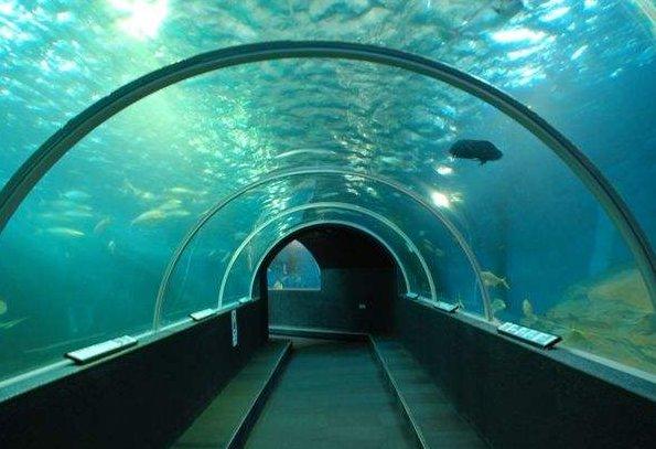 海里全是水,海底隧道是怎样修建的看完感叹工程太伟大了