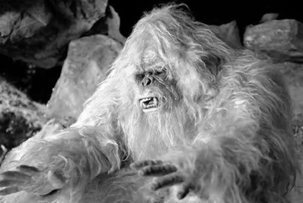 喜马拉雅山雪怪之谜——是未知的史前人类还是古巨猿的后代?