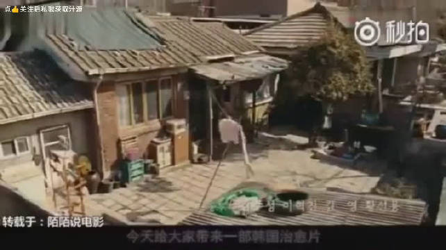 推荐一部催泪韩国电影《傻瓜》人无论智商高低地位高下|傻瓜|高下|智商|地位|韩国电影_新浪新闻